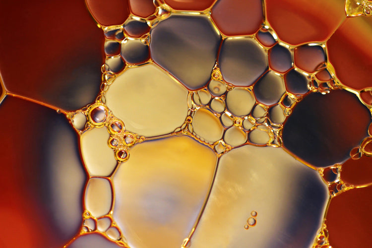 seed oils