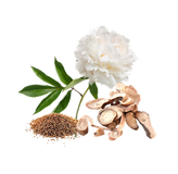 Chinese Harmony & Balance Blend