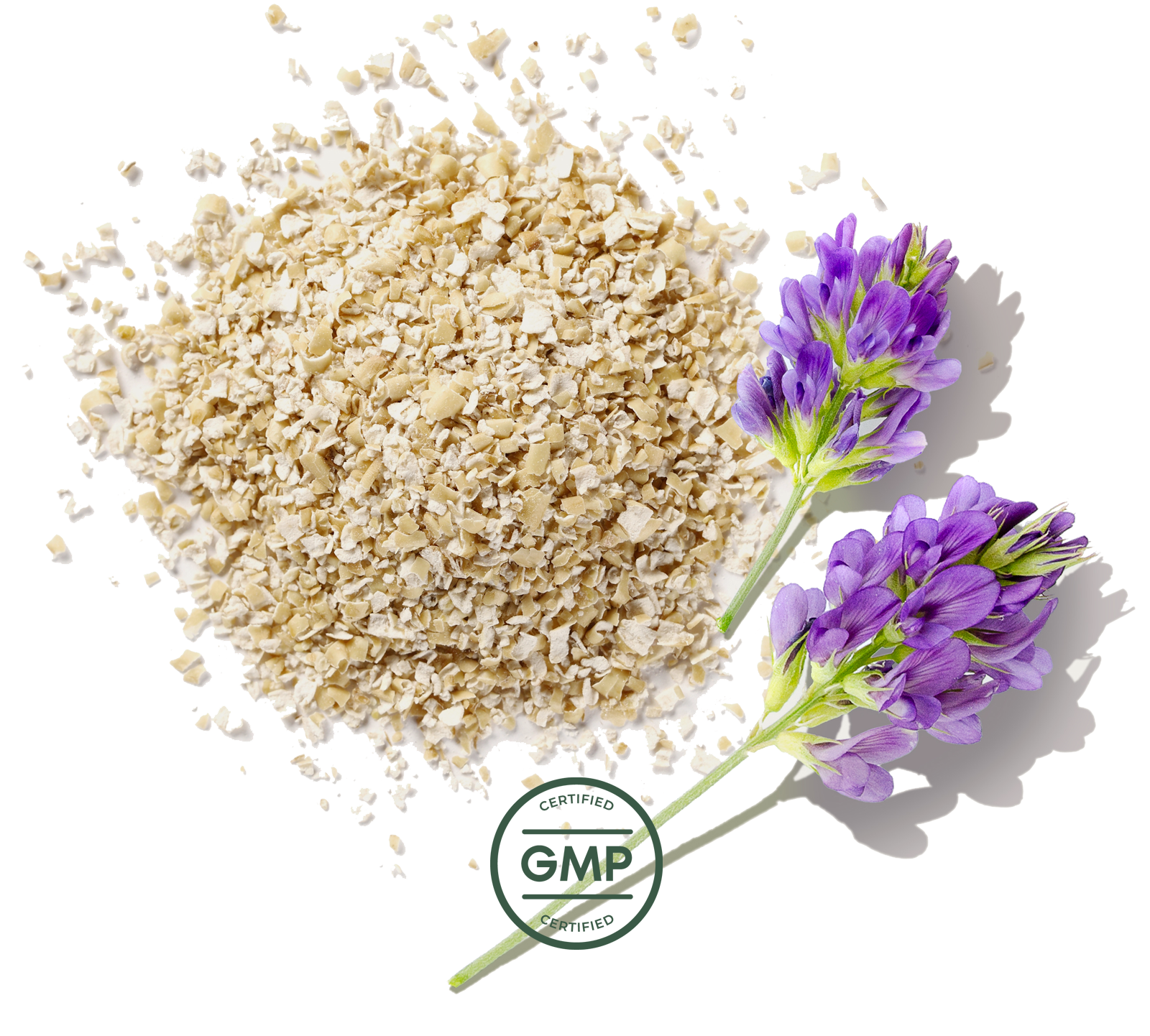 gmp certified supplement