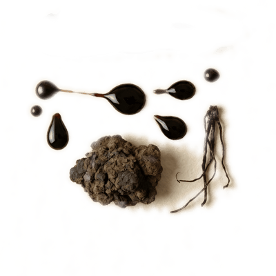 Shilajit Extract
