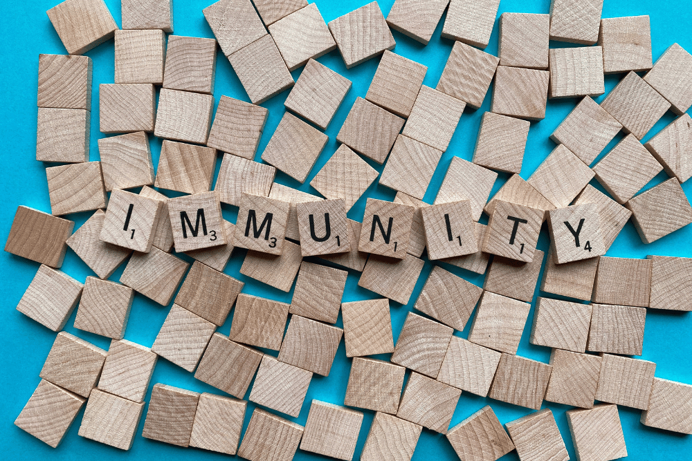 Your Immune System’s Holiday Checklist