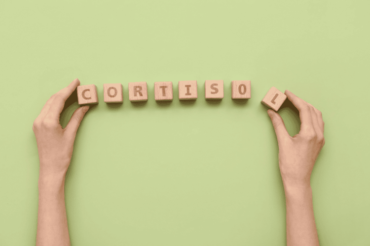 Stress, Cortisol, and the Body: A Complete Guide to Regulation and Recovery