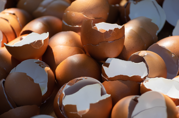 Everything You Need To Know About Eggshell Membranes