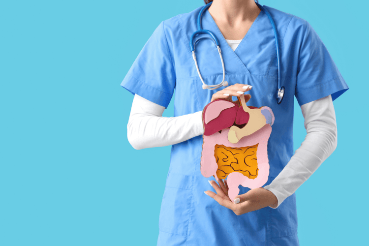 The Guide to Gut Health