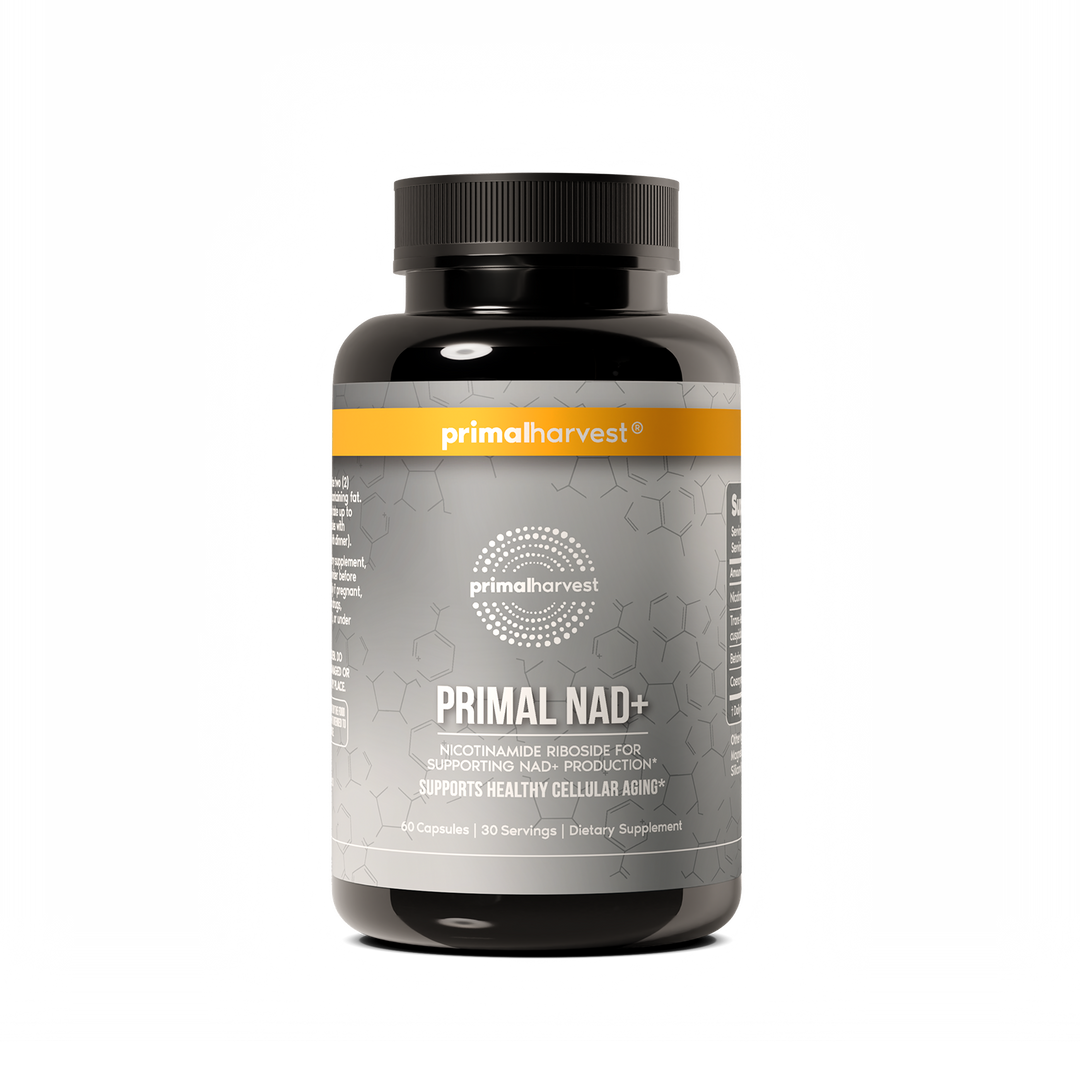 Primal NAD+