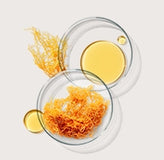 Two glass cups with yellow liquid and gold leaf on a light gray background