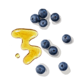 Bilberry and Blueberry Extracts