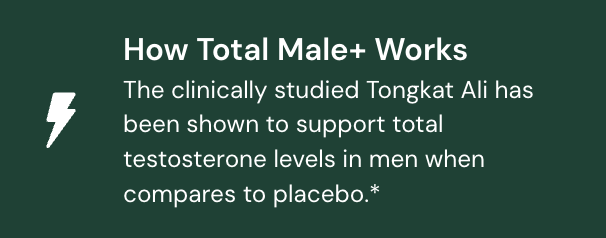 Supports Testosterone Levels